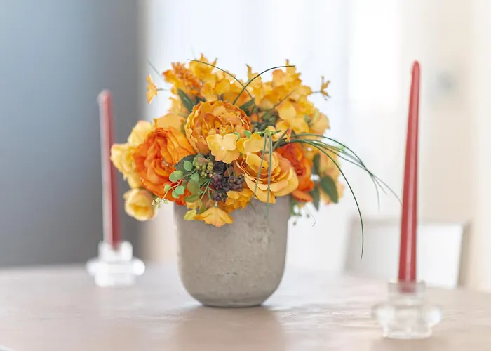 Appartement Square Of *